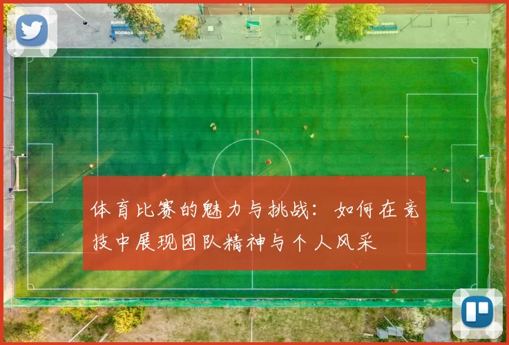 体育比赛的魅力与挑战：如何在竞技中展现团队精神与个人风采