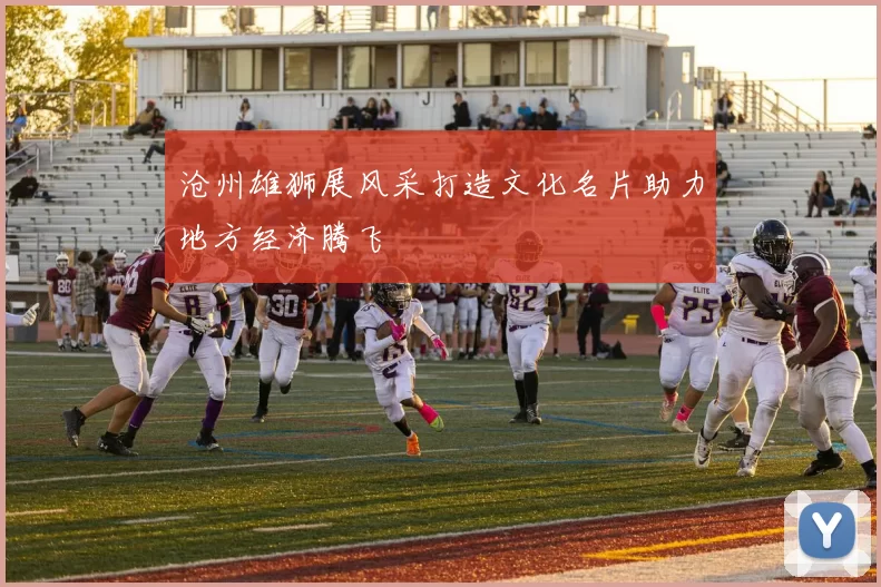 沧州雄狮展风采打造文化名片助力地方经济腾飞