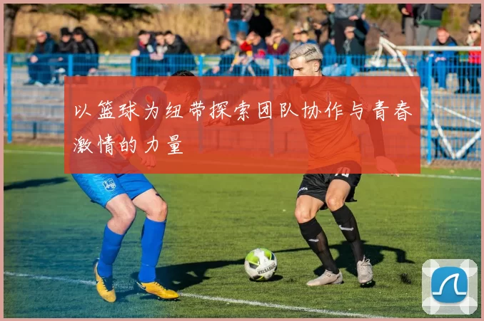 以篮球为纽带探索团队协作与青春激情的力量