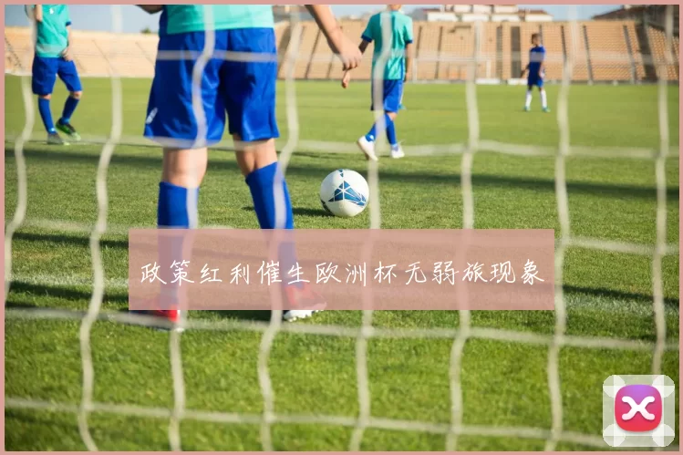 政策红利催生欧洲杯无弱旅现象