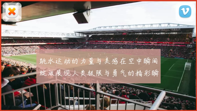 跳水运动的力量与美感在空中瞬间绽放展现人类极限与勇气的精彩瞬间