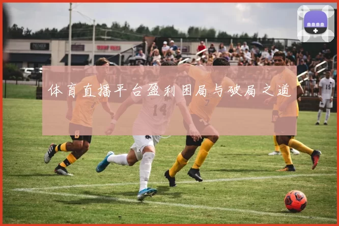 体育直播平台盈利困局与破局之道