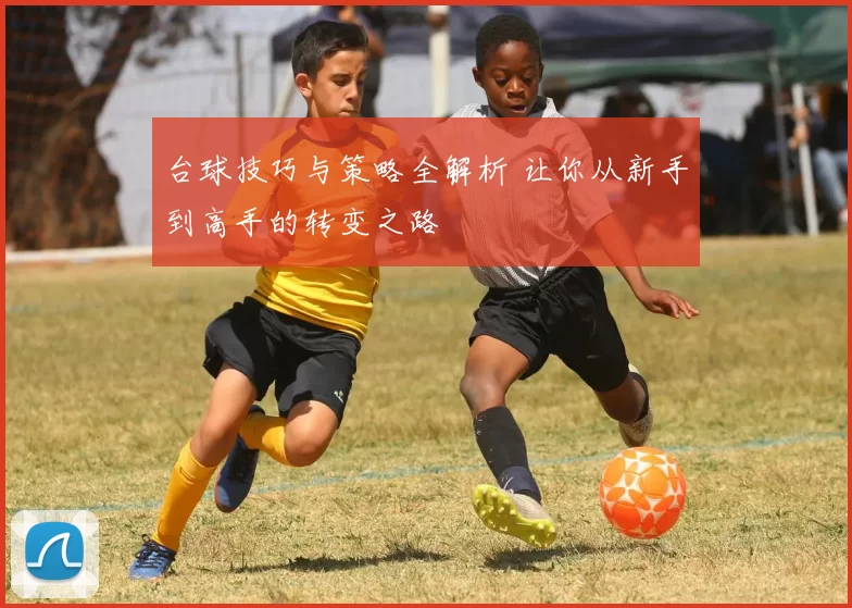 台球技巧与策略全解析 让你从新手到高手的转变之路