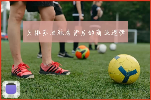头排苏酒冠名背后的商业逻辑