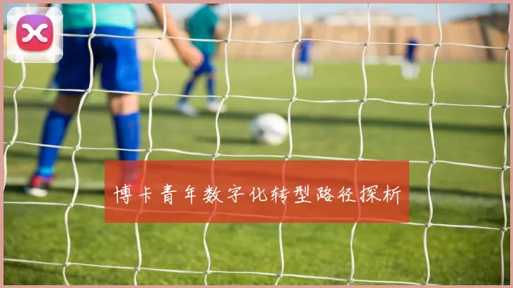 博卡青年数字化转型路径探析